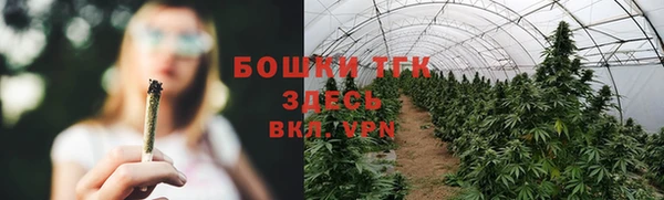 амф Богородицк