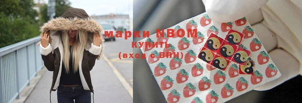 ГАЛЛЮЦИНОГЕННЫЕ ГРИБЫ Богданович