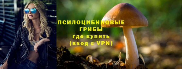 дмт Богородск