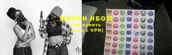 ГАЛЛЮЦИНОГЕННЫЕ ГРИБЫ Богданович