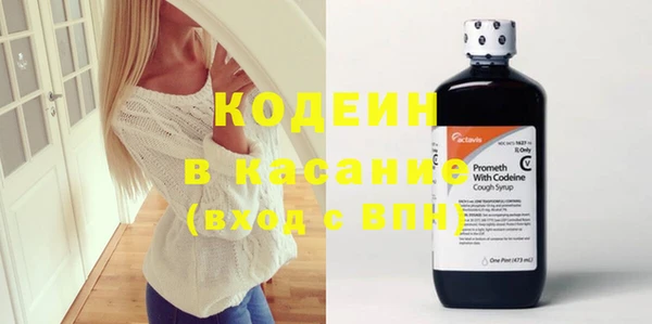 ГАЛЛЮЦИНОГЕННЫЕ ГРИБЫ Богданович