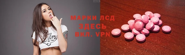 ГАЛЛЮЦИНОГЕННЫЕ ГРИБЫ Богданович