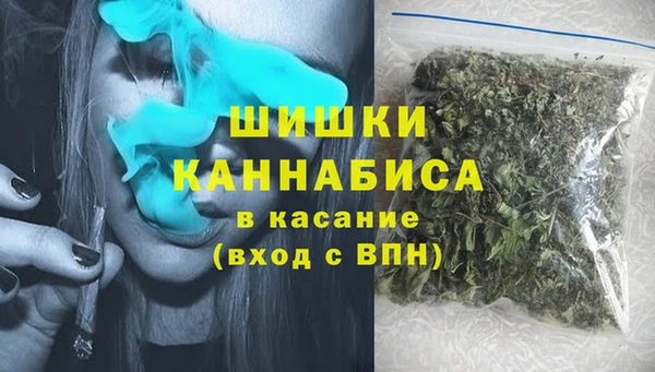 дмт Богородск