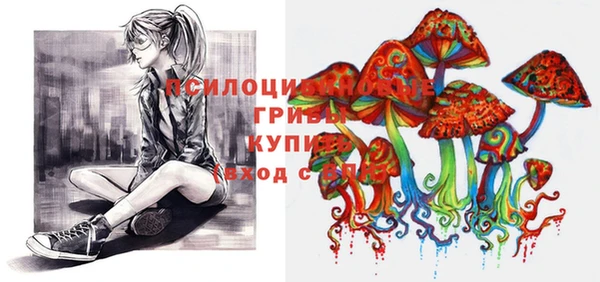 амф Богородицк