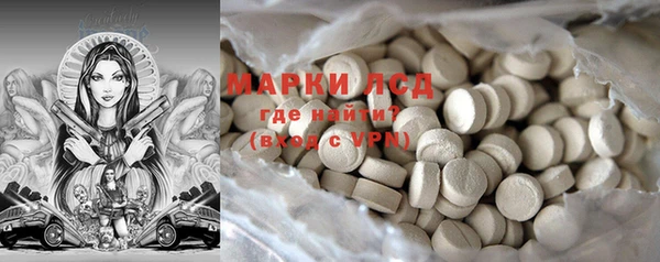 ГАЛЛЮЦИНОГЕННЫЕ ГРИБЫ Богданович