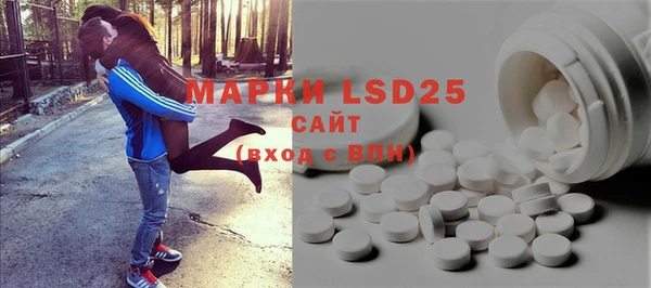 ГАЛЛЮЦИНОГЕННЫЕ ГРИБЫ Богданович