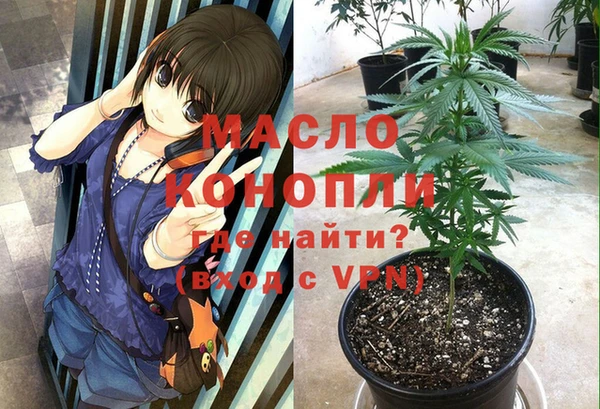дмт Богородск