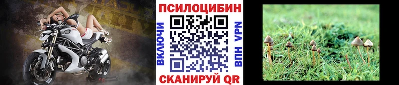 Псилоцибиновые грибы MAGIC MUSHROOMS  Купить где  Видное 