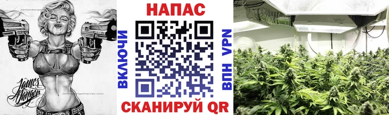 Купить закладки  Видное  МАРИХУАНА Ganja 